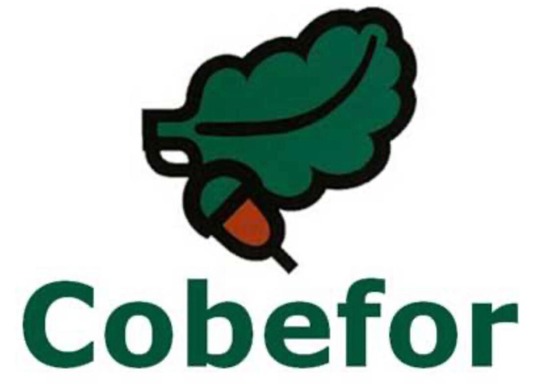 Mantenimiento de Jardines en Córdoba y Provincia